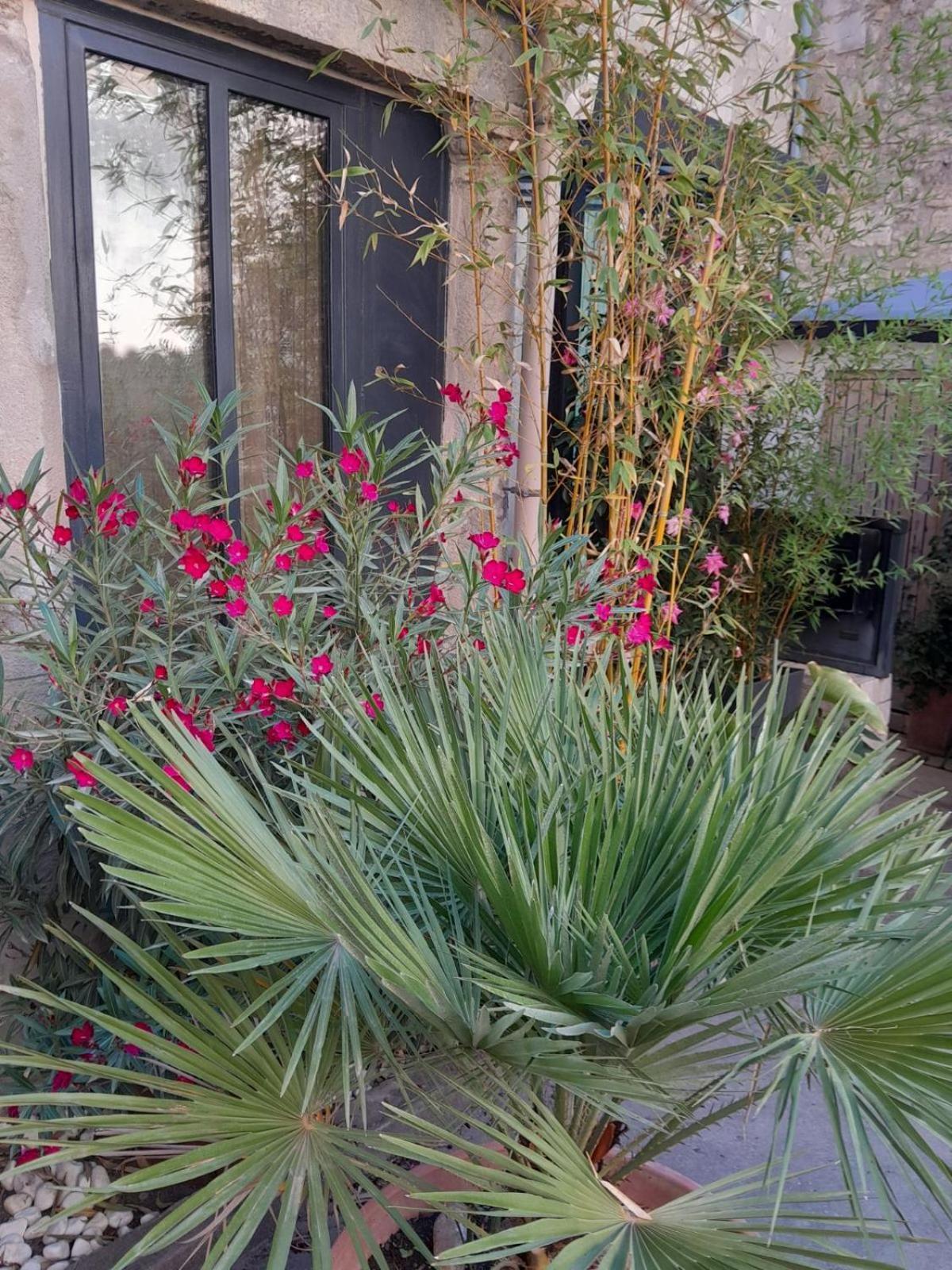 Le Clos Du Rouet Tarascon Buitenkant foto